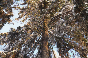 Similar image 21710816