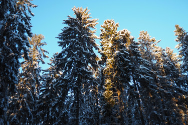 Similar image 21710818