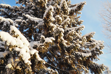 Similar image 21710850