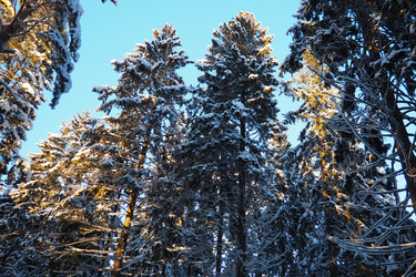 Similar image 21710852