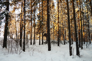 Similar image 21710853