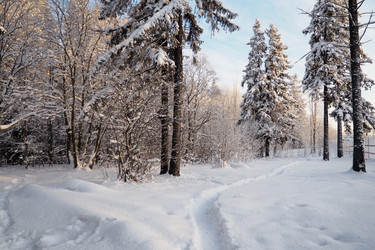 Similar image 21710854