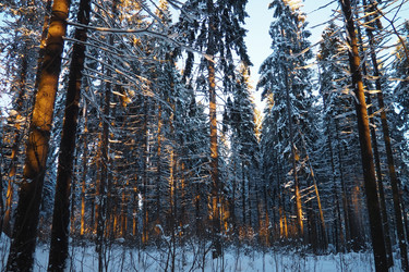 Similar image 21710855