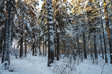 Similar image 21710857