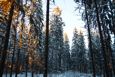 Similar image 21710858