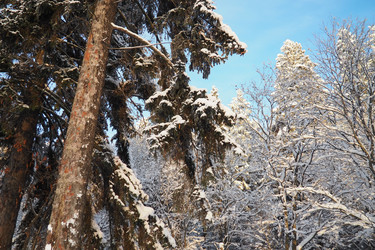 Similar image 21710859