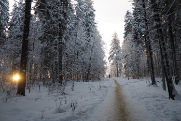 Similar image 21710860