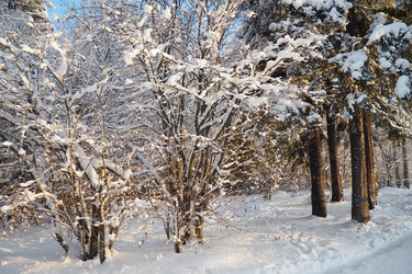 Similar image 21710862