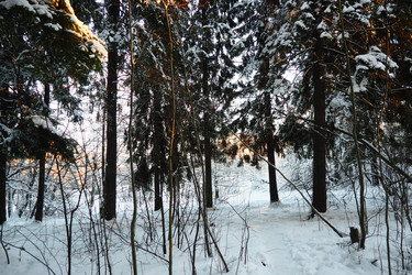 Similar image 21710864