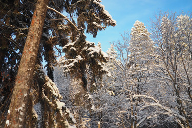 Similar image 21710865