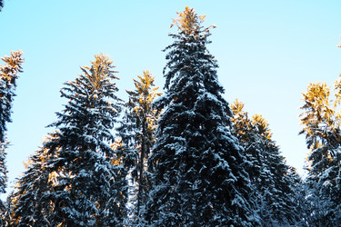 Similar image 21710867