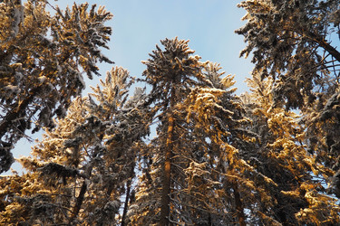 Similar image 21710868