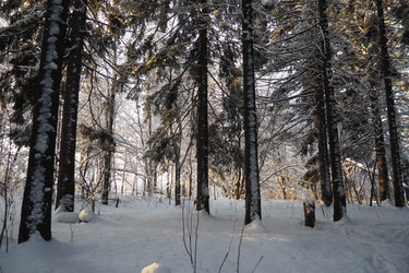 Similar image 21710869