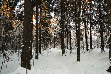 Similar image 21710870