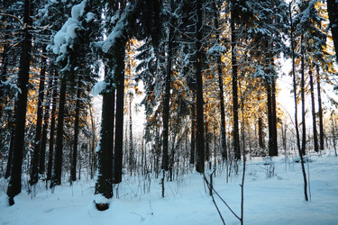 Similar image 21710871