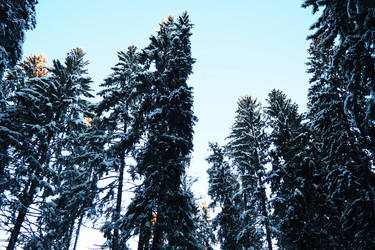 Similar image 21710873