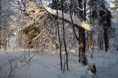 Similar image 21710876