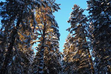 Similar image 21710877