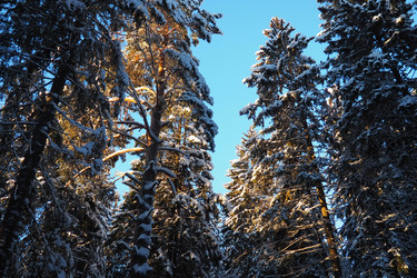 Similar image 21710879