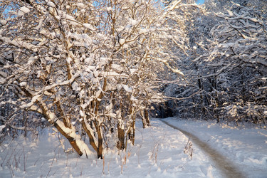 Similar image 21710880