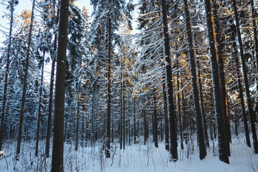 Similar image 21710881