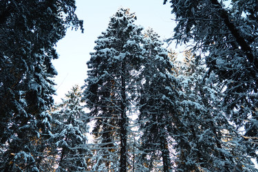 Similar image 21710882