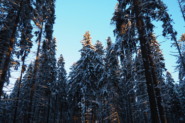 Similar image 21710883