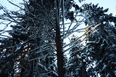 Similar image 21710884