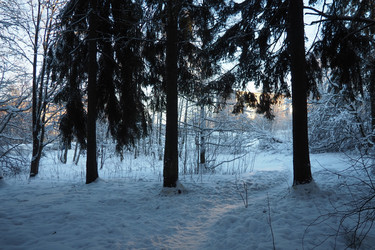 Similar image 21710886