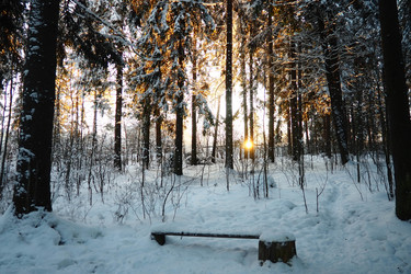 Similar image 21710887