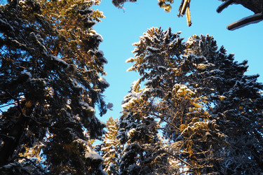 Similar image 21710888