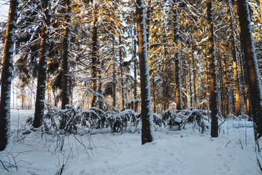 Similar image 21710891