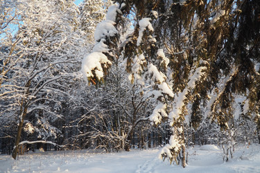 Similar image 21710892