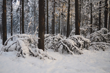 Similar image 21710894