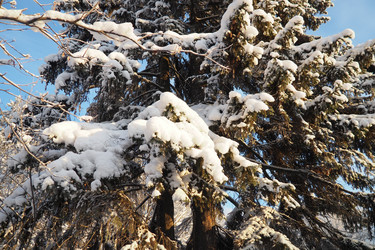 Similar image 21710896