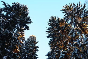 Similar image 21710897