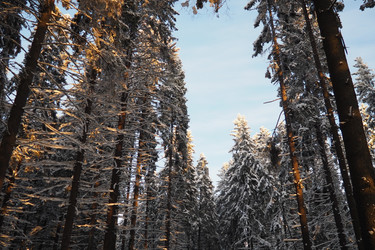 Similar image 21710898