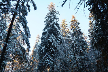 Similar image 21710899