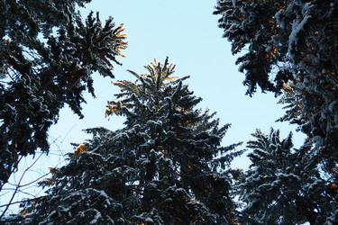 Similar image 21710900