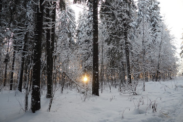 Similar image 21710901