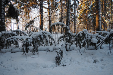 Similar image 21710902