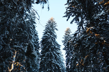 Similar image 21710904