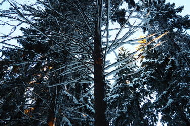 Similar image 21710906