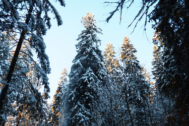 Similar image 21710907