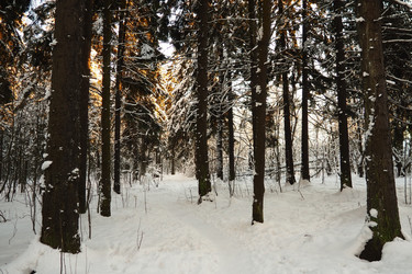 Similar image 21711012