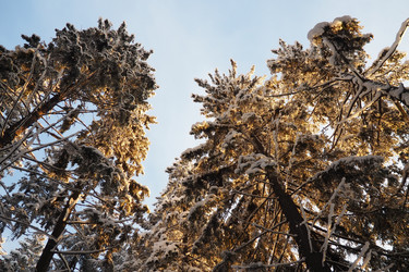 Similar image 21711013