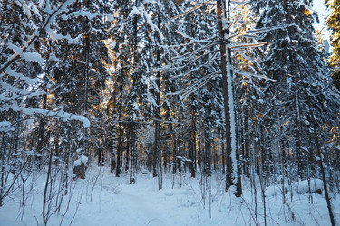 Similar image 21711014