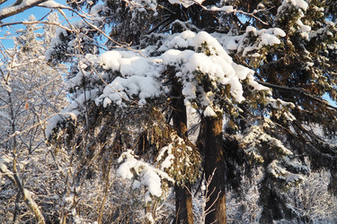 Similar image 21711015