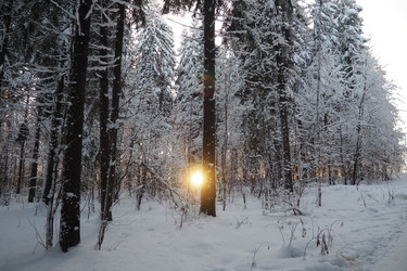 Similar image 21711016