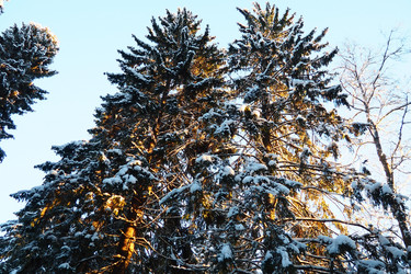 Similar image 21711017